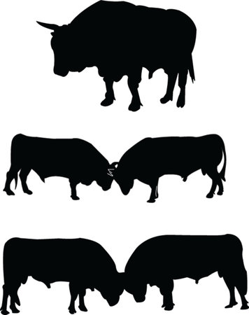 肉牛の写真 イラスト素材一覧 67 5件 ストックフォトのamanaimages Plus 肉牛の写真 イラスト素材一覧 67 5件 ストックフォトのamanaimages Plus