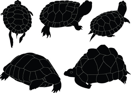 turtles collectionのイラスト素材