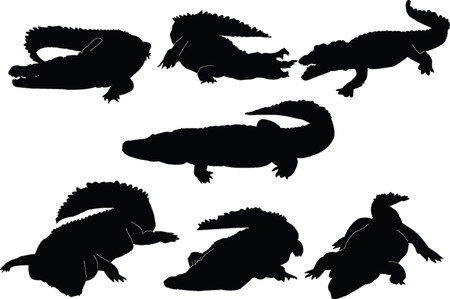 crocodiles collection - vectorのイラスト素材