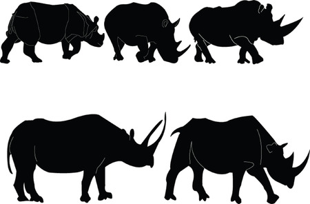 rhinoceros illustration collection - vectorのイラスト素材