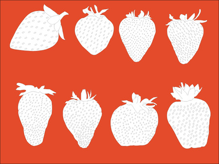 strawberry collectionのイラスト素材