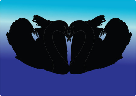 swan collectionのイラスト素材