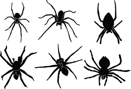 spiders silhouette のイラスト素材