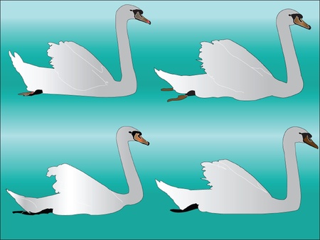 white swan collection - vectorのイラスト素材