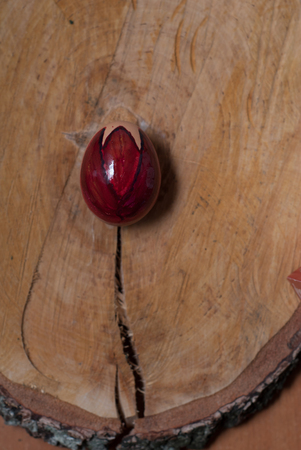 Easter, painted egg on a wooden plate like a flowerの写真素材
