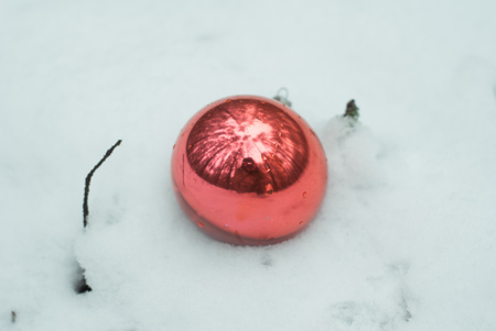 Red Christmas ball on a snowy field, a toy in the snow in the forestの写真素材