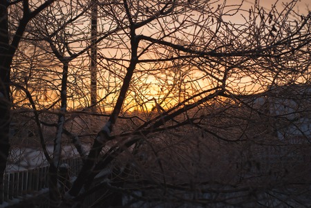 the sun through the branches, winter, frosty morningの写真素材