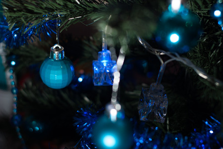 Christmas ball on fir tree branches, blue toy, spruce legsの写真素材