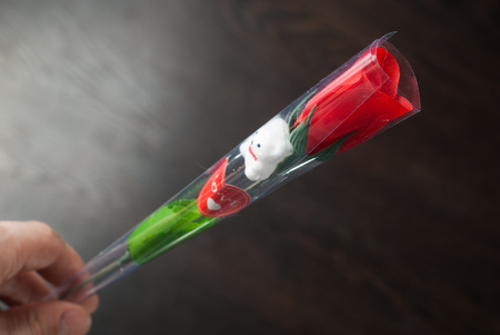 Artificial rose in man's hand the gift with your own hands a gift on March 8の写真素材