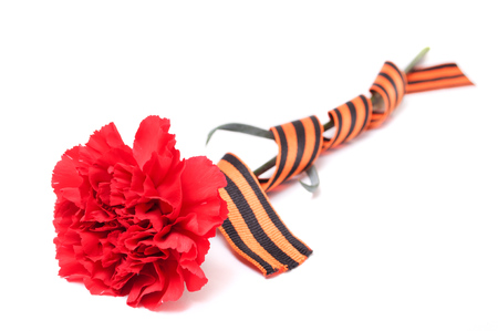 Red Carnation St. George ribbon on white background, ribbon wrapped around the flower, the symbol of the great Victory over the Nazis, victory day,の写真素材