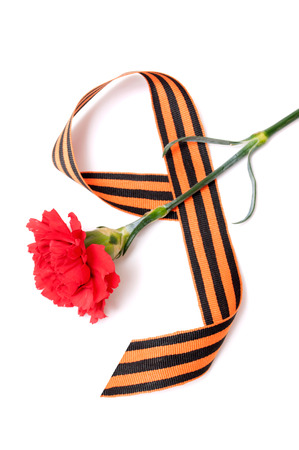 Red Carnation St. George ribbon on white background, the tape in the form of figure 9, the symbol of the great Victory over the Nazis, victory day,の写真素材