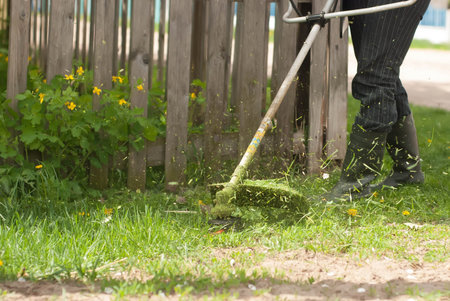 The mowing of grass, close-up, work in the garden