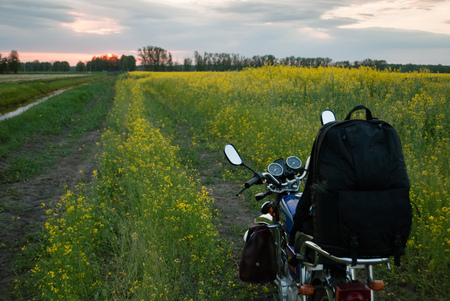 Adventure on a motorcycle. Path along the rapeseed field at sunset. Active guests.の写真素材