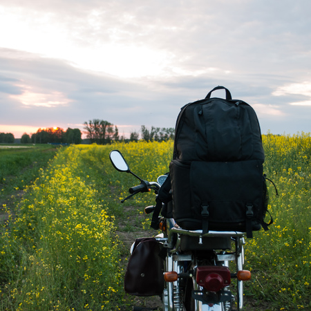 Adventure on a motorcycle. Path along the rapeseed field at sunset. Active guests.の写真素材