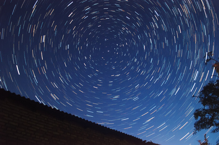 The tree at night against the starry sky.The movement of the stars on a long exposure camera.の写真素材