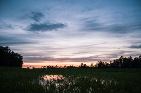 rice field at sunset, the reflection in the waterの写真素材