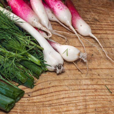 bunch of fresh radish with leaves on a cutting Board, dill and leek, vegetable composition, organic and healthy foodの写真素材