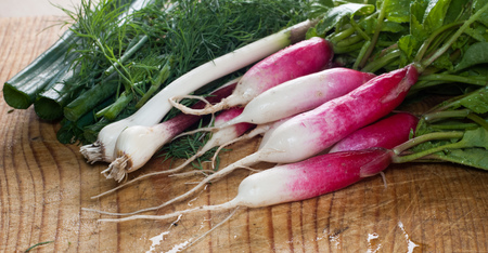 bunch of fresh radish with leaves on a cutting Board, dill and leek, vegetable composition, organic and healthy foodの写真素材