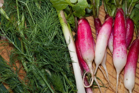 bunch of fresh radish with leaves on a cutting Board, dill and leek, vegetable composition, organic and healthy foodの写真素材