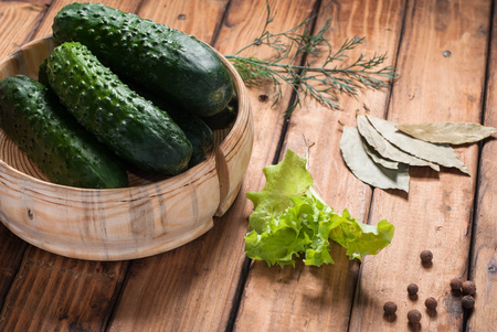 Cucumbers for preservation in wooden utensils. Dill, lettuce, pepper, Bay leafの写真素材