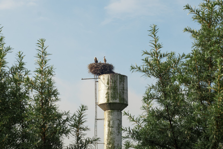 nest of storks on the old water tower on sky backgroundの写真素材