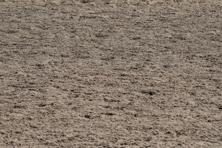 track racing texture, hoofprints in the sand, Hippodrome on a Sunny dayの写真素材