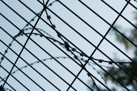 Barbed wire close-up against the blue skyの写真素材