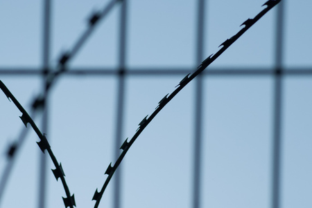 Barbed wire close-up against the blue skyの写真素材