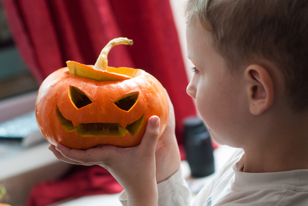 The child looks at the Jack-o-lantern, Little boy standing with pumpkin in handsの写真素材