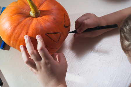 Child draws a face on the pumpkin, make Jack-o'-lantern before Halloween, top viewの写真素材