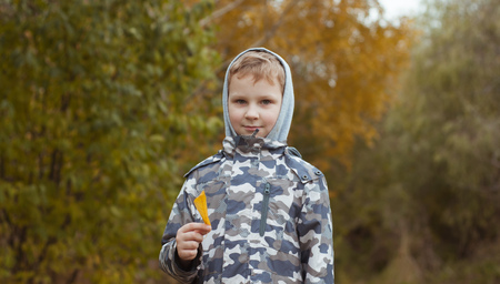 A boy playing with yellow leaves. Autumn in the city Park, the child on the background of trees with yellow leavesの写真素材