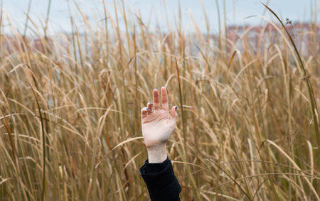 Women's hand goes to the top, the concept of loneliness, loss, expectation of aid, the banner of the...