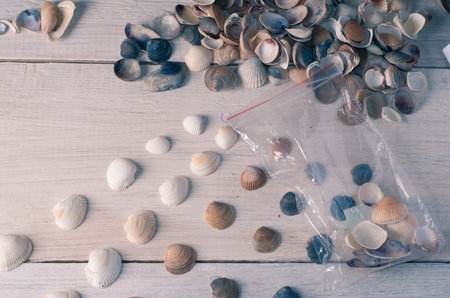 The packaging and sale of marine Souvenirs, a small business, a set of different sea shells on a...