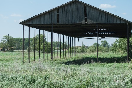 The concept of the roof, the old barn among the grass,の写真素材