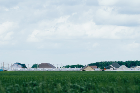 Juicy grass on the background of houses, selective focus, greenhouses on the background of cloudsの写真素材