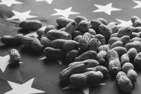Peanut scattered on the American flag, black and white photoの写真素材