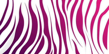 Pink Zebra pattern, vector illustration eps10の写真素材