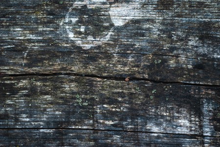 Natural Wood Texture background, Top View, old wood,の写真素材