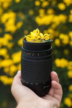 telephoto lens in hand on the background of bright yellow flowers, lens and flowers,の写真素材