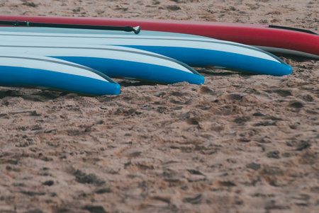 Stand up paddle longboard surfboard. close up
