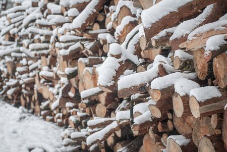 Snow log stack lumber in winterの写真素材