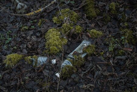 plastic bottles in the forest overgrown with more. The problem of ecologyの写真素材