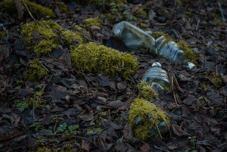 plastic bottles in the forest overgrown with more. The problem of ecologyの写真素材