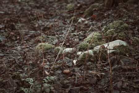 plastic bottles in the forest overgrown with more. The problem of ecology,の写真素材