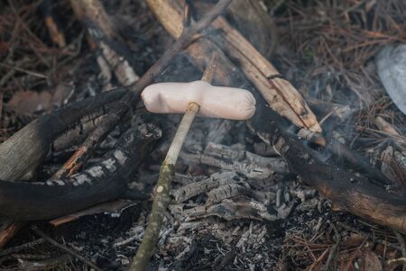 Frying sausages on a campfire, Hiking in the woods,の写真素材