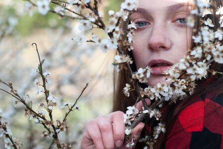 A beautiful girl looks through the flowering branchesの写真素材