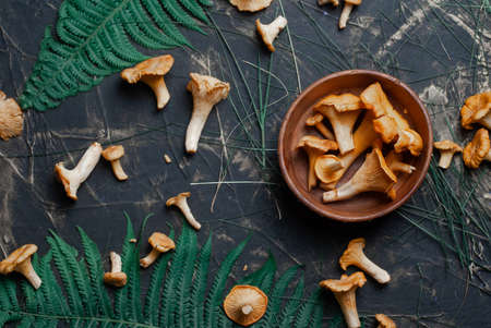 Chanterelles on a black table top view, vegan food,の写真素材