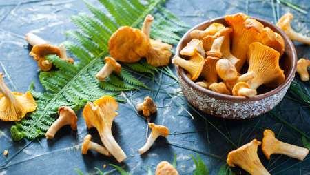 vegetarian food, fresh chanterelles on a concrete table,の写真素材