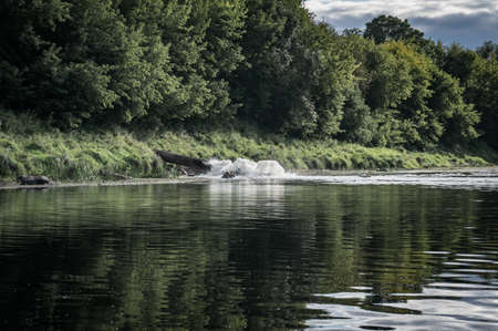 waste water is discharged into the river,の写真素材