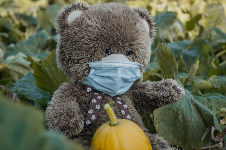 a Teddy bear in a medical mask holds a pumpkin
